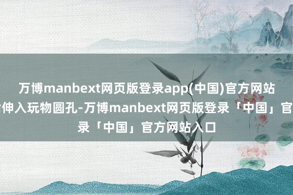 万博manbext网页版登录app(中国)官方网站如儿童手指伸入玩物圆孔-万博manbext网页版登录「中国」官方网站入口